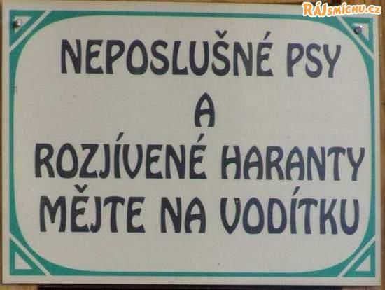 cedulka2.jpg
