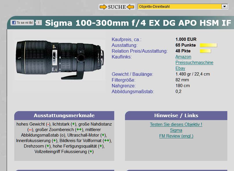 Sigma 100-300