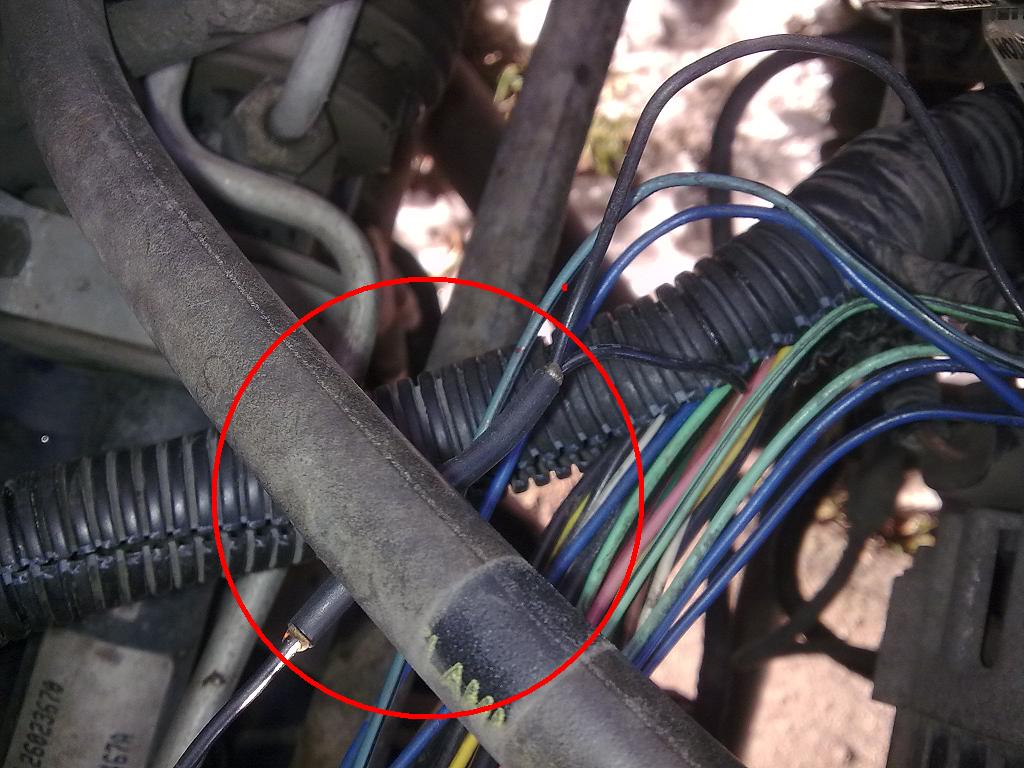 Kabel.jpg