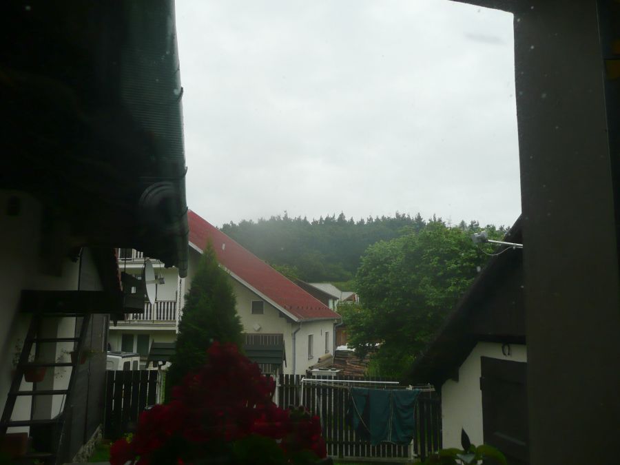 P1060564.JPG