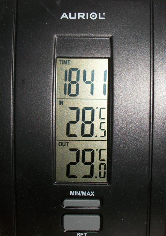 MINI0830.JPG