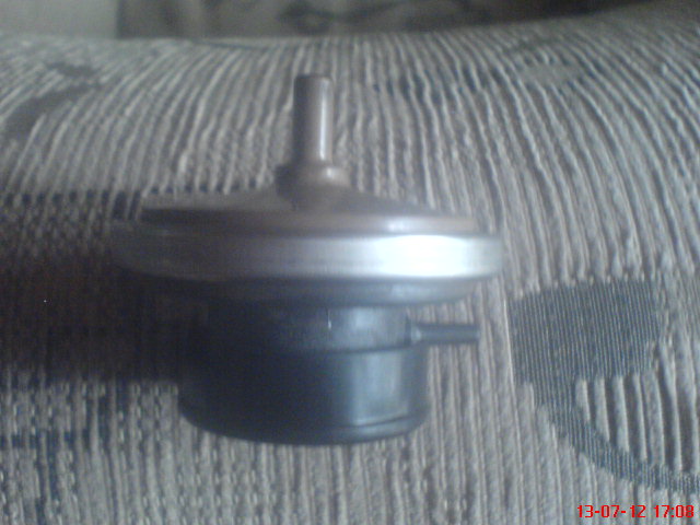 DSC00170.JPG