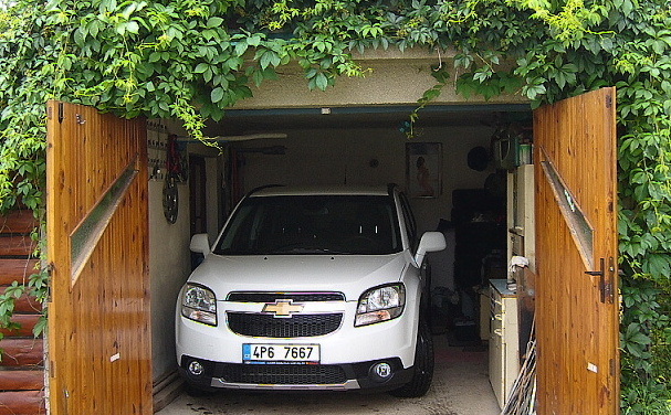 Orel v hnízdě.JPG