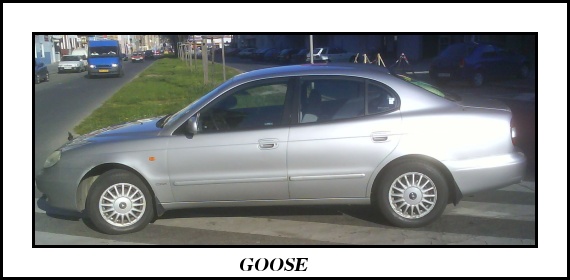 goosík.jpg
