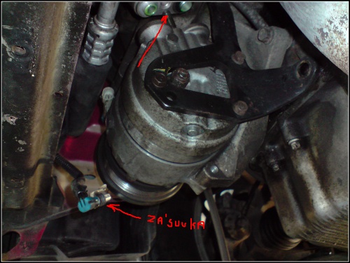 P230509_10.55[02].JPG