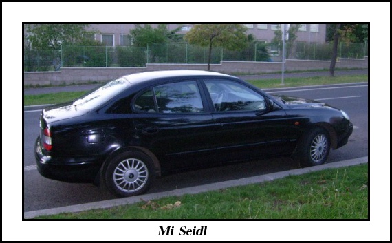 Mi Sedl.jpg