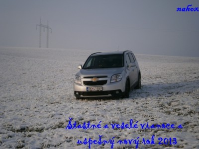 pf 2013.JPG