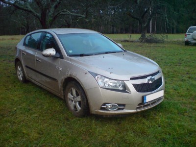 1_Cruze_65.JPG