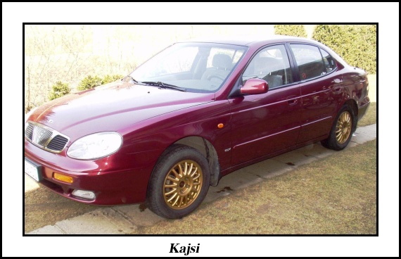 Kajsi.jpg