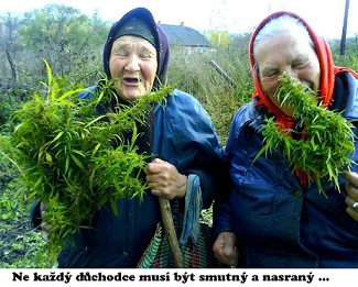 Důchodkyně.png