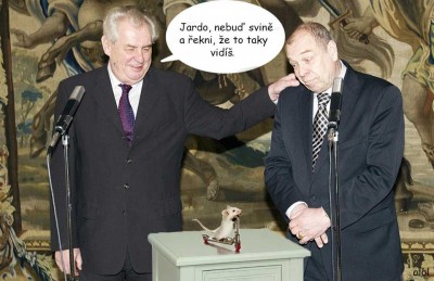 Bílá myška.jpg