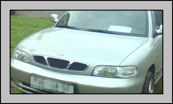 DSC00710.jpg