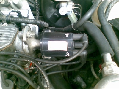 espero001.jpg