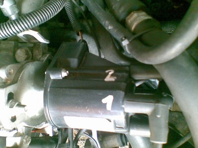 espero002.jpg