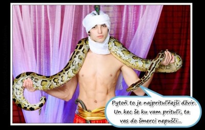 PYTOŇ.jpg