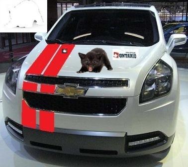 chevrolet_orlando_předek 1 komprese.jpg