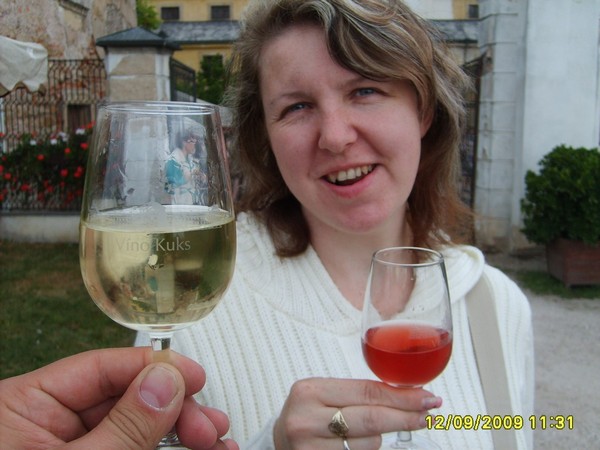 vinobrani Kuks 010.jpg