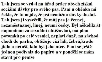 na úřadě.jpg