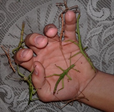 20130910_192426.jpg