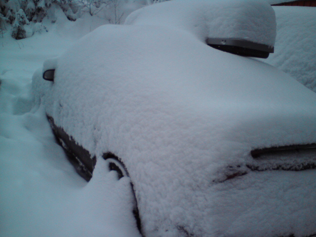 DSC00457.JPG