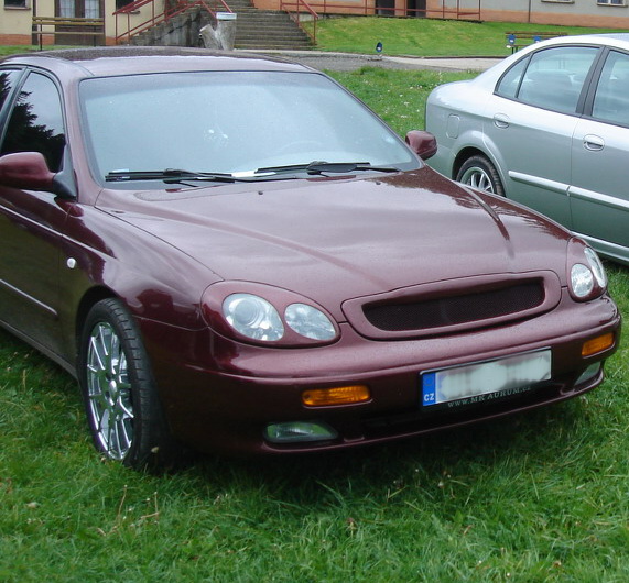 olsovec029.jpg