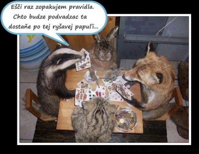 Liska.jpg