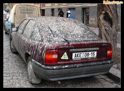 posraný auto.jpg