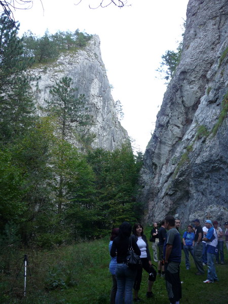 P1020531_resize.JPG