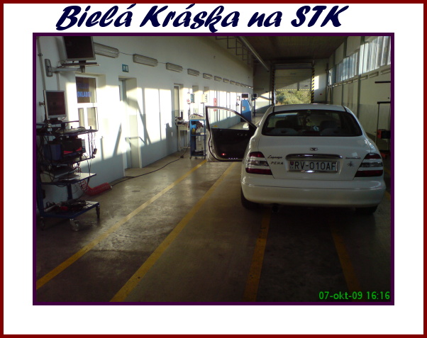 DSC00298.jpg