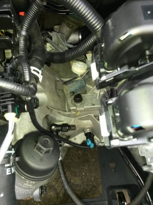 20140628_135509.jpg
