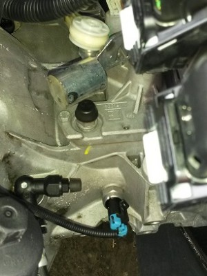 20140628_135519.jpg