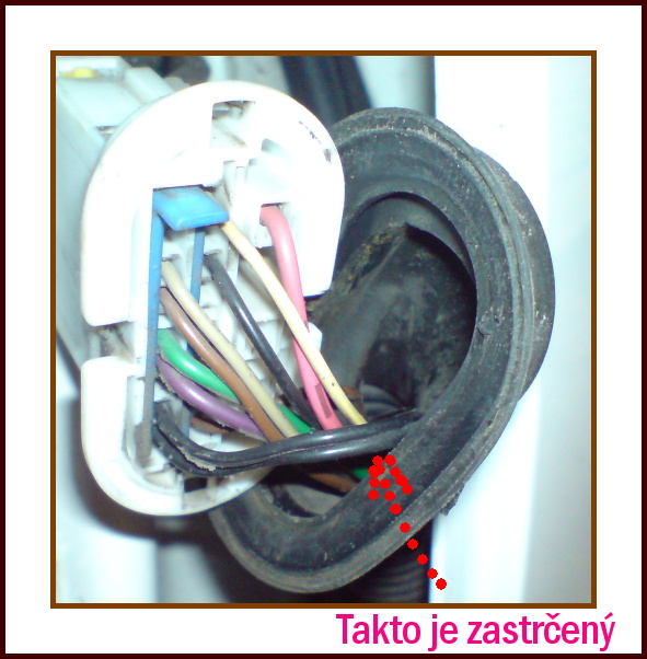DSC00350.jpg