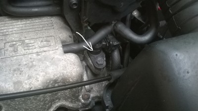 WP_20160401_001.jpg