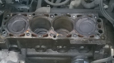 WP_20160322_003.jpg