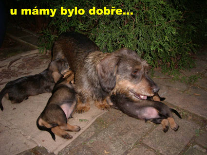 uMámyNett.jpg