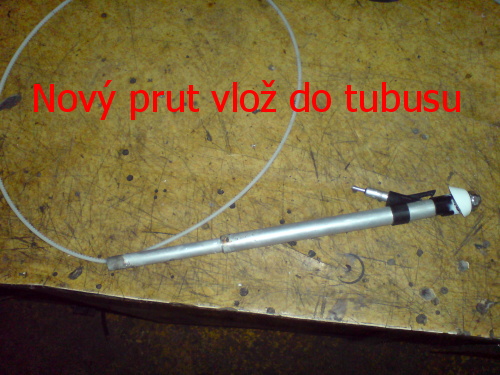 Ant 2.jpg