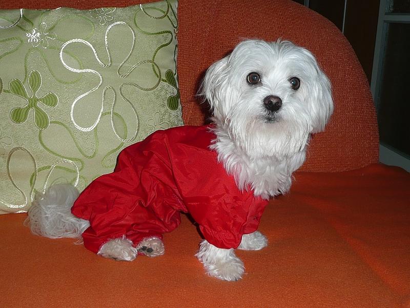 nely01.jpg