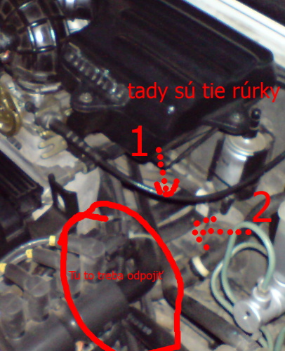 DSC00562.jpg