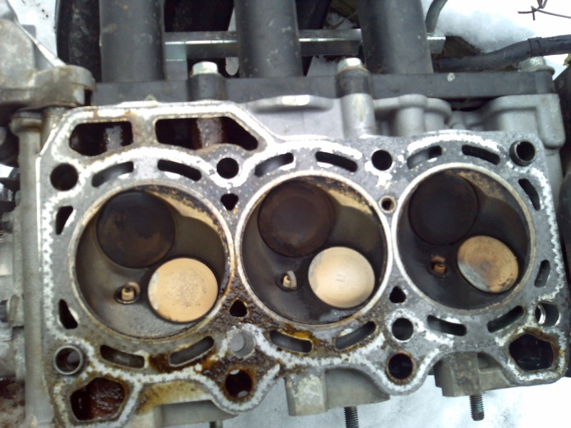 06032010066 mensi.jpg