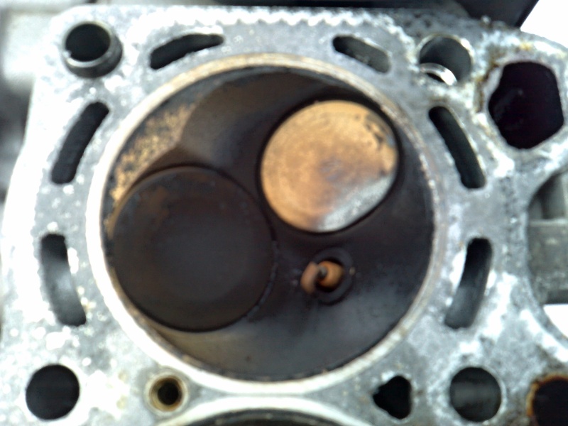 06032010067 mensi.jpg