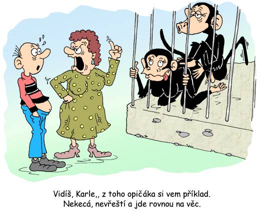 vtip4.jpg