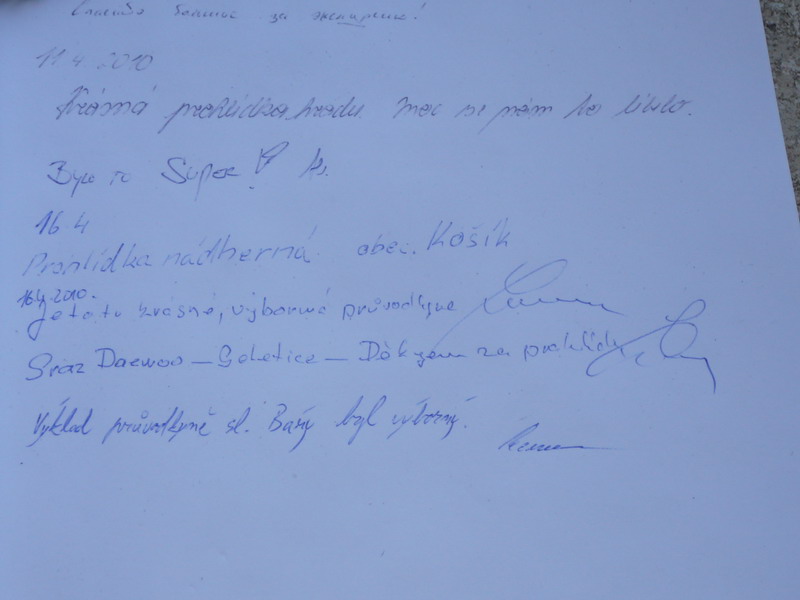 P1000595_resize.JPG