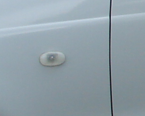 DSC07154.jpg