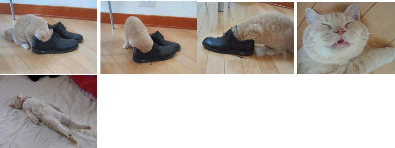 Konec fetáka.jpg
