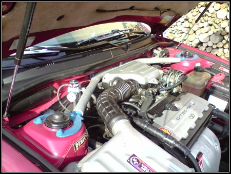 P260610_18.08[01].JPG