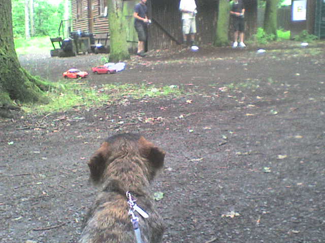 DSC00009.JPG