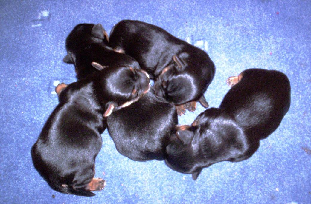 Pegy 021.JPG