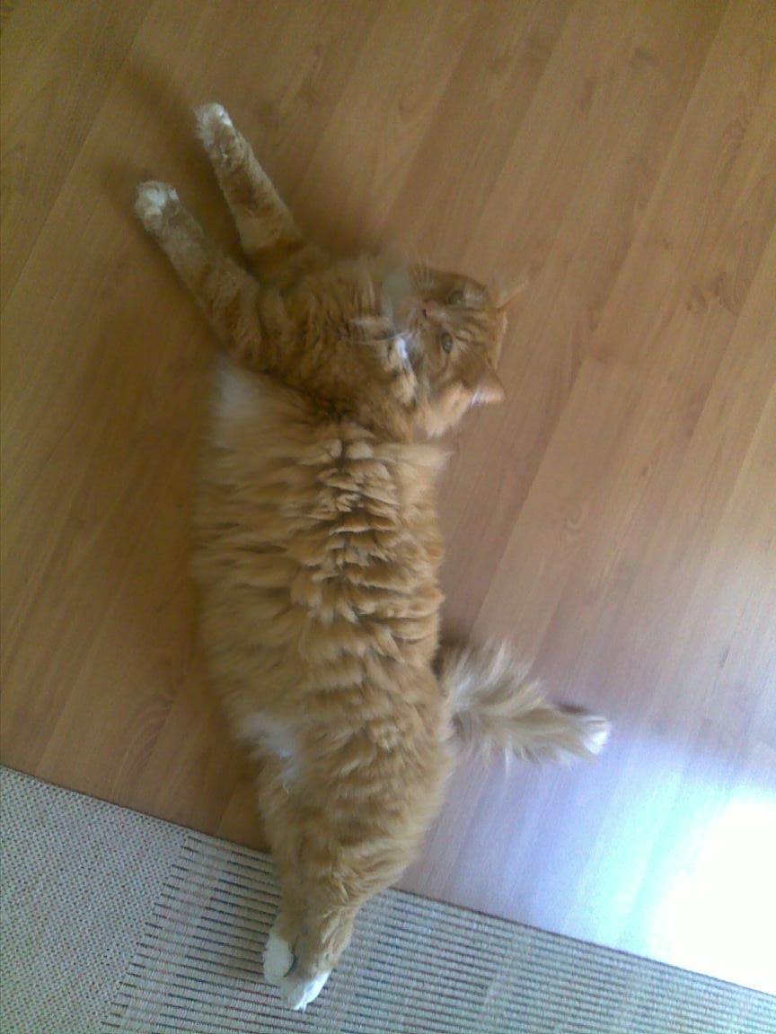 28102010084.jpg