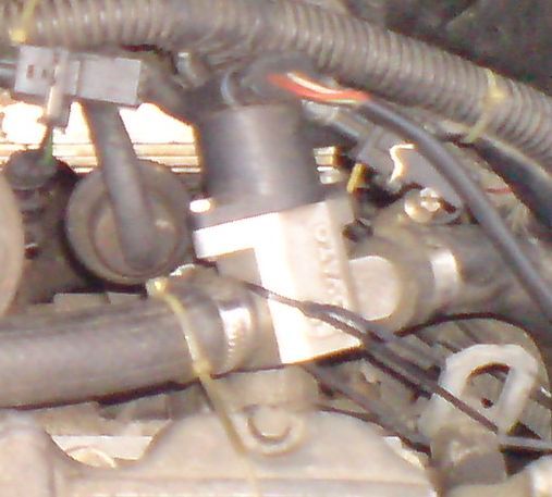 DSC00761.JPG