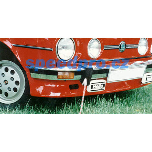 spoilerskoda100.jpg